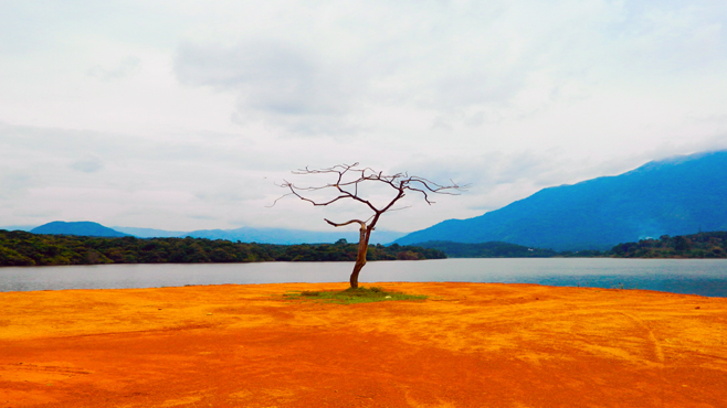 ഇലയൂര്‍ന്നു വീണ വഴിനീളെ